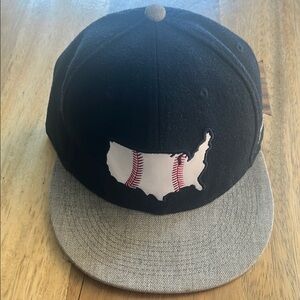 Baseballism Gray and Navy Wool Hat with USA Map